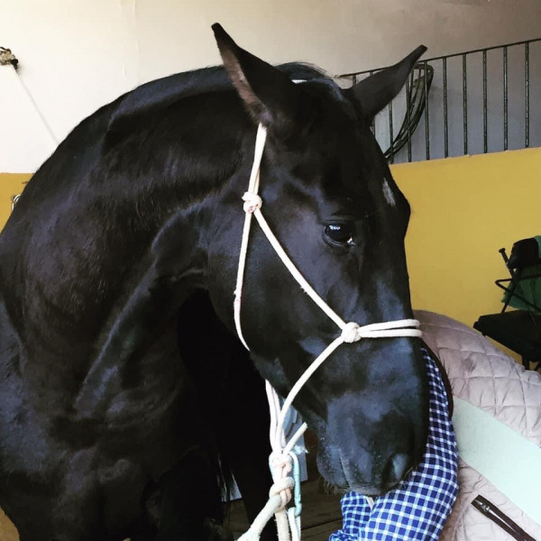 Photo de profil de cartagena