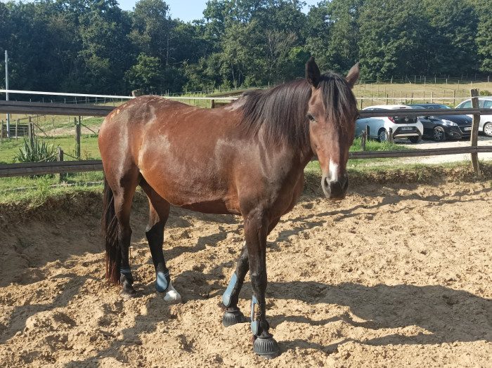 Photo de profil de cashok