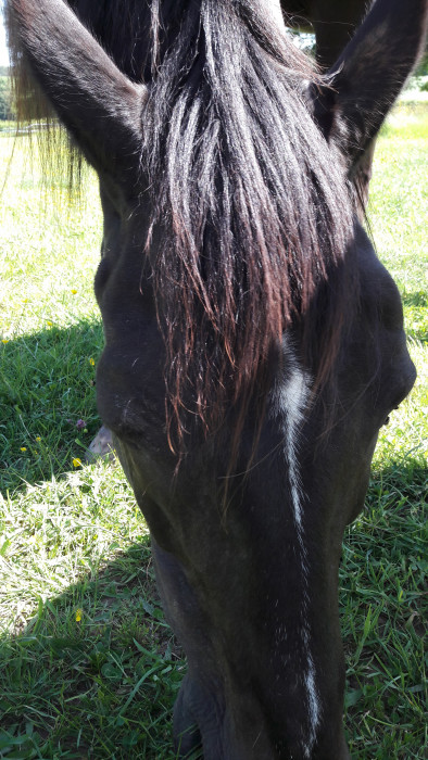 Photo de profil de casper042012