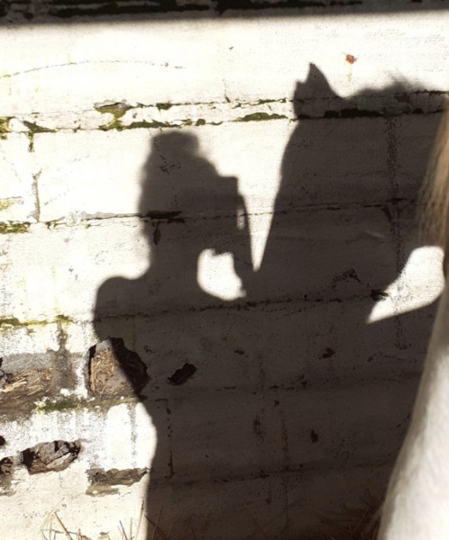 Photo de profil de cass0217