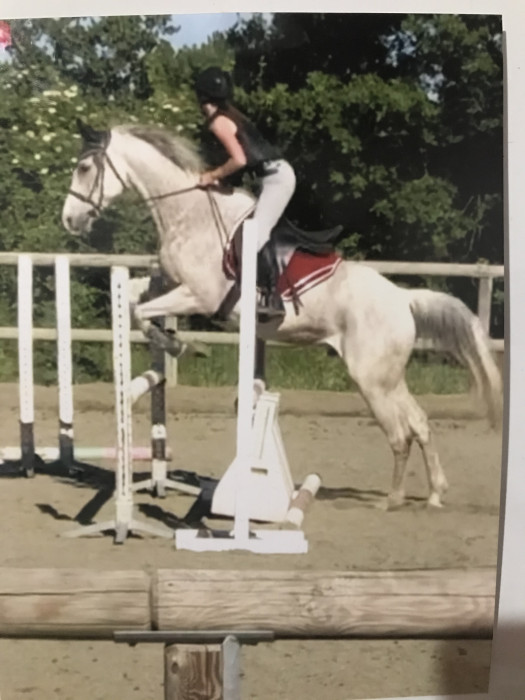 Photo de profil de cassandre2008