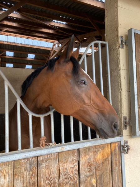 Photo de profil de catherineumour