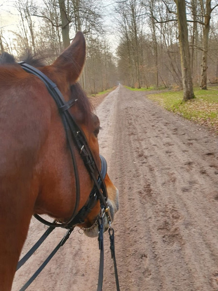 Photo de profil de cath_gg