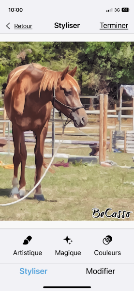 Photo de profil de cathlin