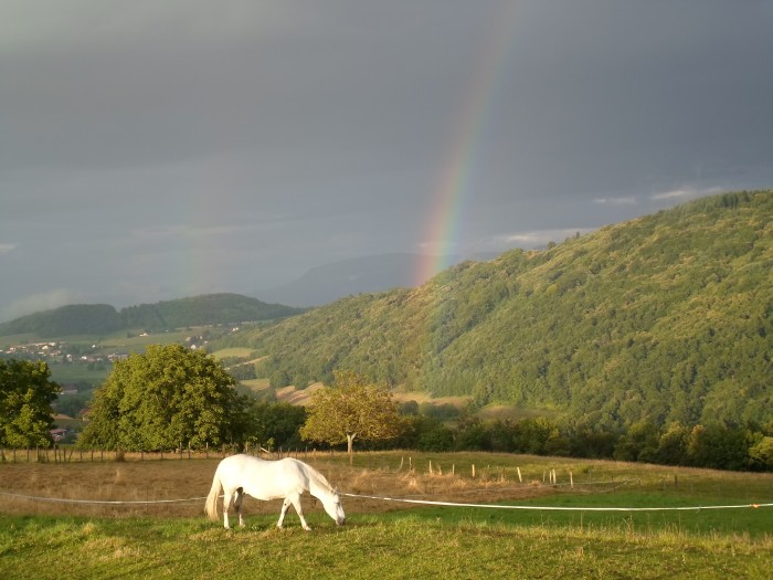 Photo de profil de caval38