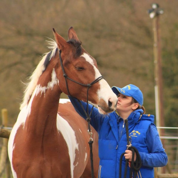 Photo de profil de cavalierecgp