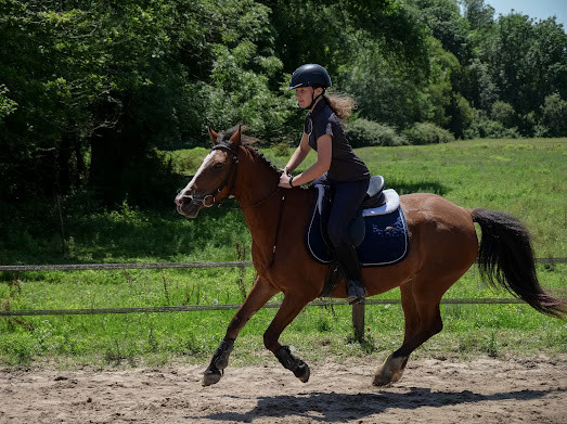 Photo de profil de cavalieredu40