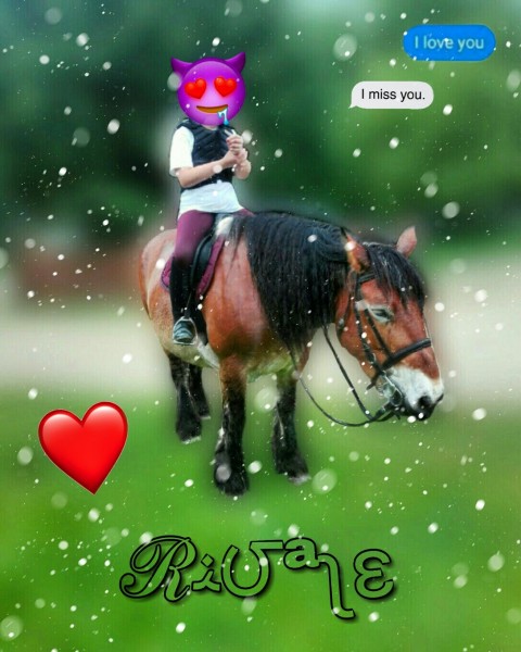 Photo de profil de cavalire_1101