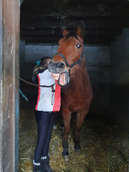 Photo de profil de cc735