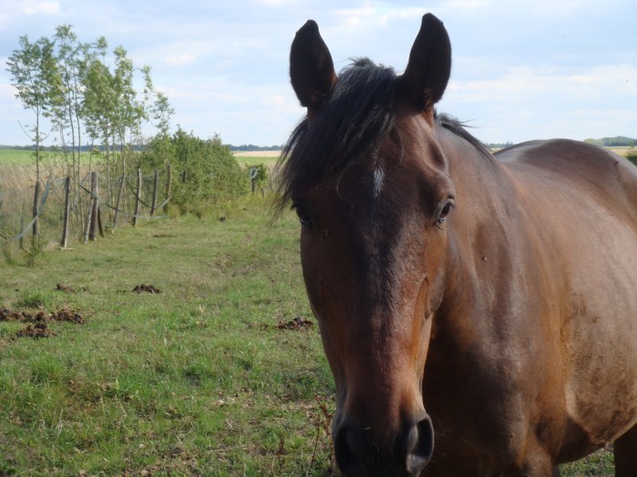 Photo de profil de cececile