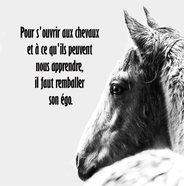 Photo de profil de cecemelle_92