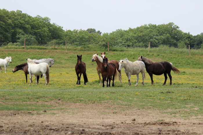 Photo de profil de cedd31270