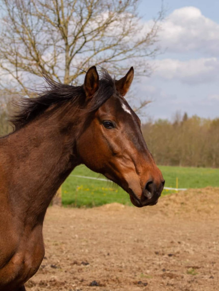 Photo de profil de celafertille