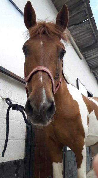 Photo de profil de celiajinger