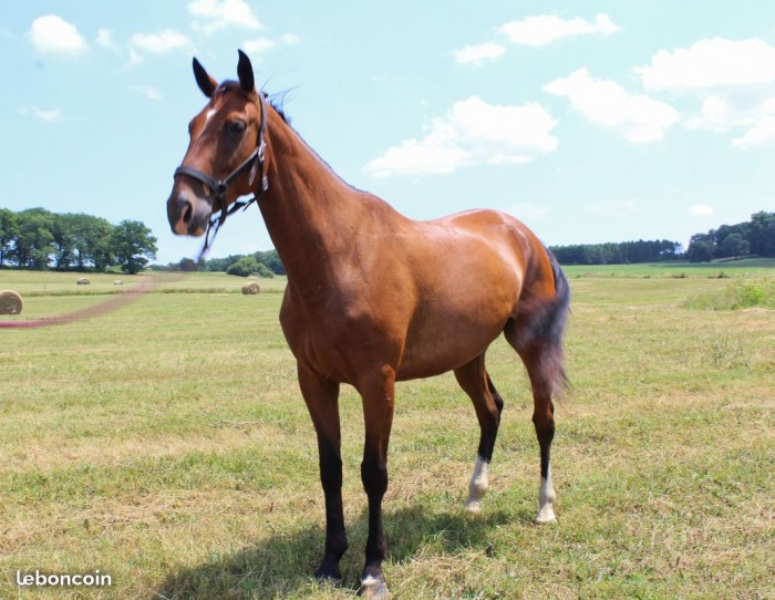 Photo de profil de celiatresor