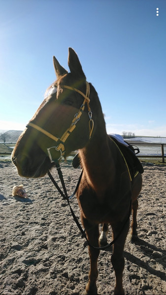 Photo de profil de celine.b88