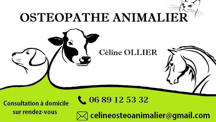 Photo de profil de celineollier48
