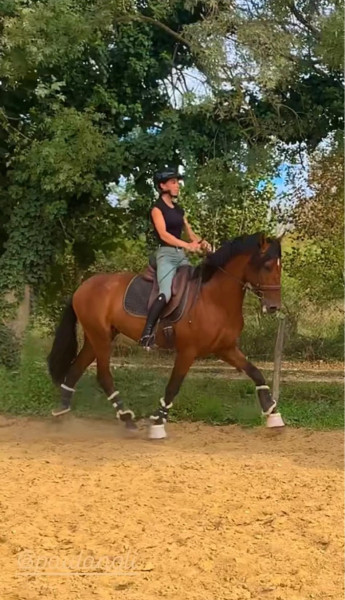 Photo de profil de cg.equitation