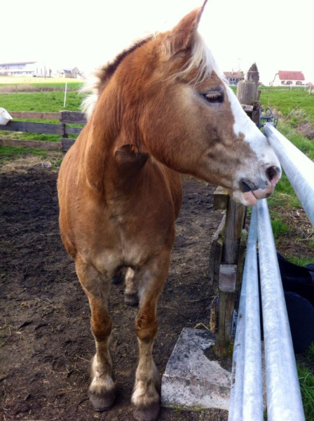 Photo de profil de cha28