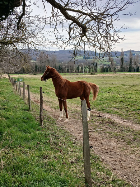 Photo de profil de chacha260
