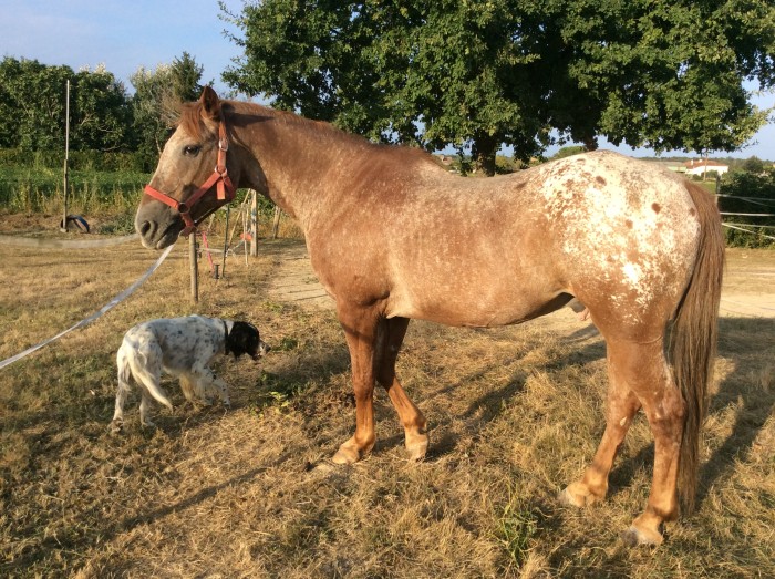 Photo de profil de chacha82700