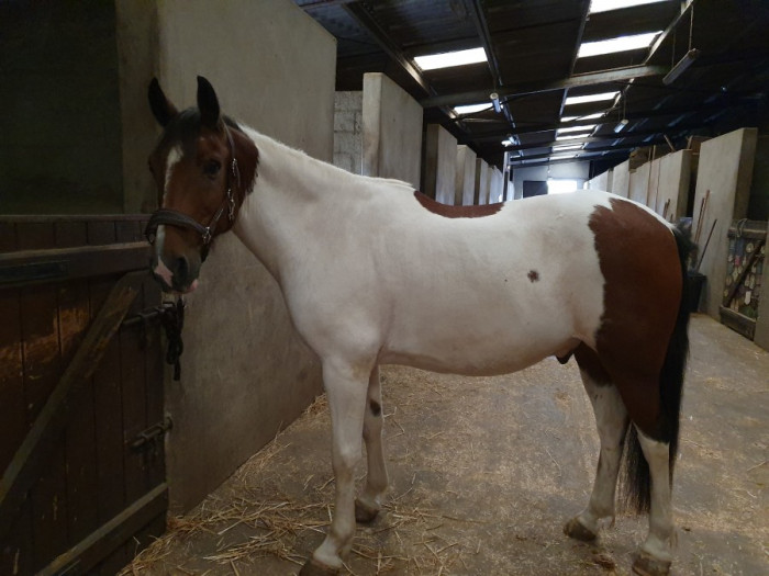 Photo de profil de chacheval8