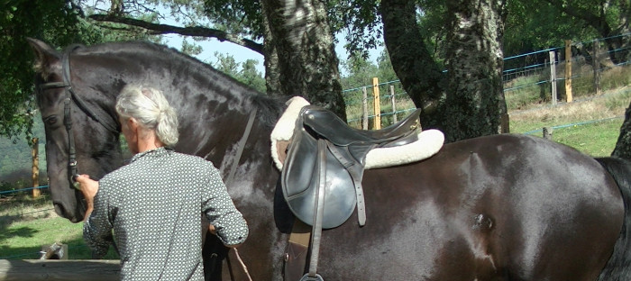 Photo de profil de chagatay