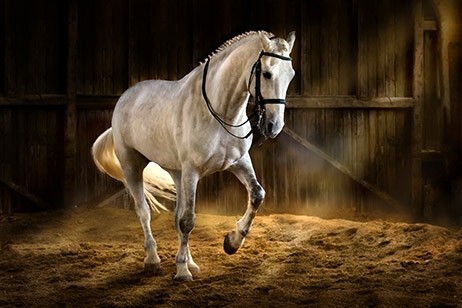 Photo de profil de chaking