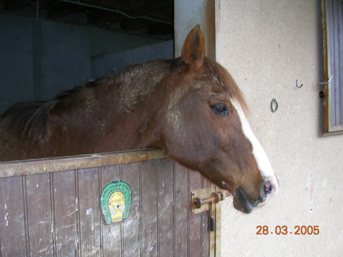 Photo de profil de chanchan1