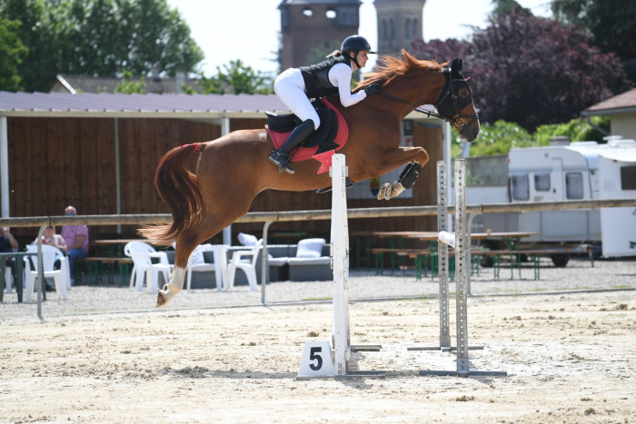 Photo de profil de chapelan