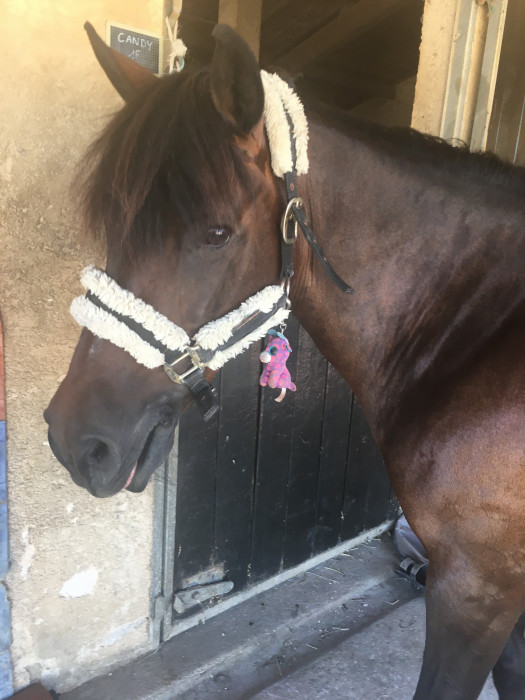 Photo de profil de charlene34660