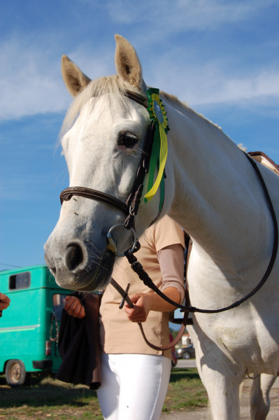 Photo de profil de charlene38780