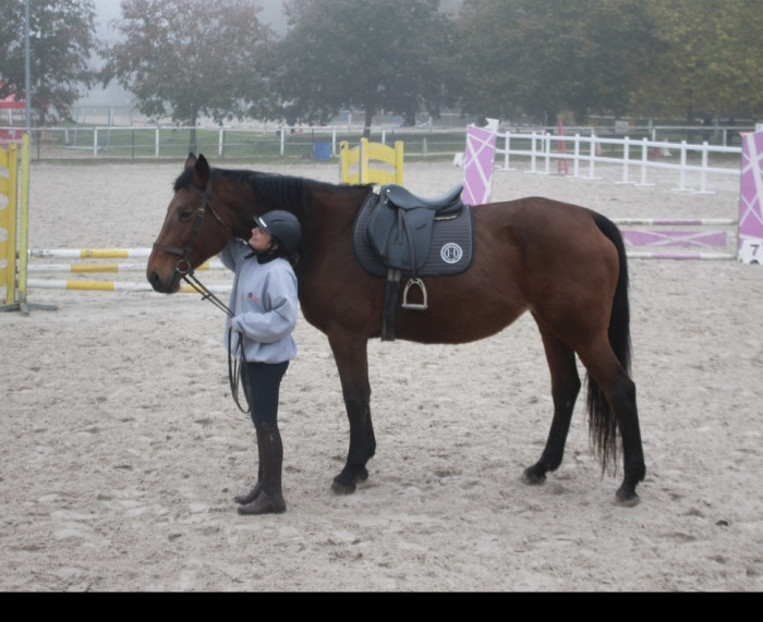 Photo de profil de charline36