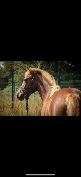 Photo de profil de charline.lelong