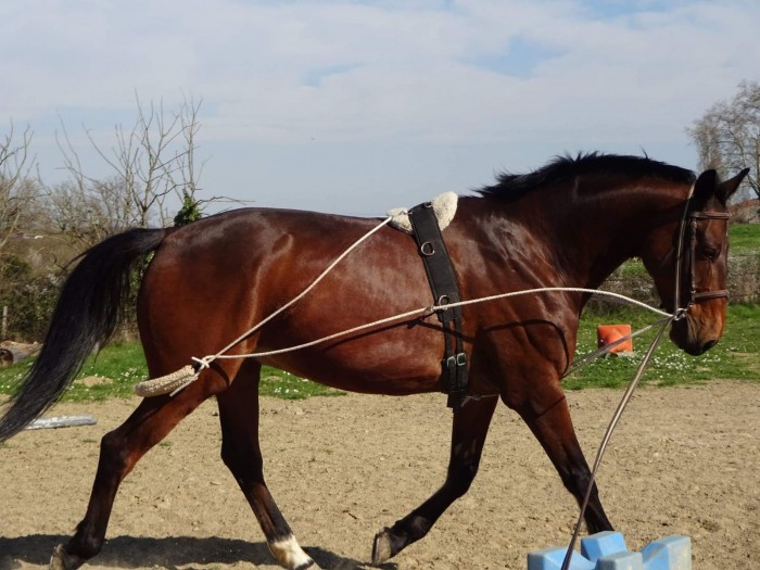 Photo de profil de charlotte.g