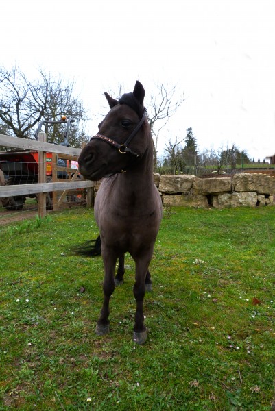 Photo de profil de charme