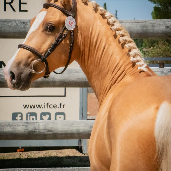 Photo de profil de chellesuzanne73