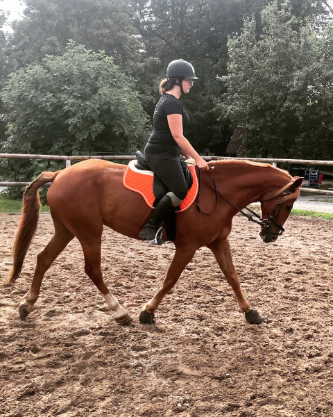 Photo de profil de chemsi