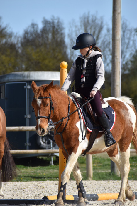 Photo de profil de cherche_cheval9