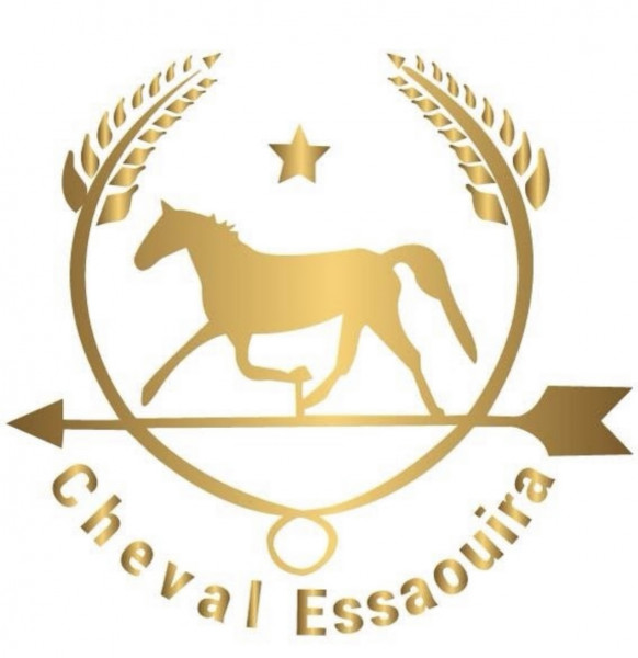 Photo de profil de chevalessaouira