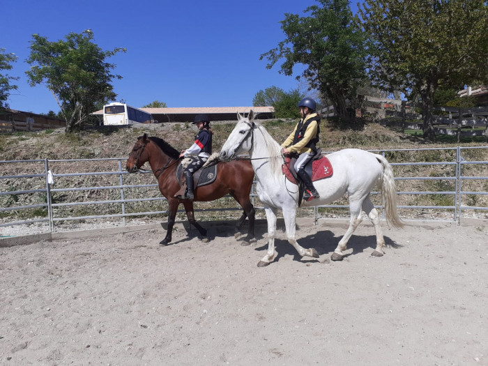 Photo de profil de chevalisse