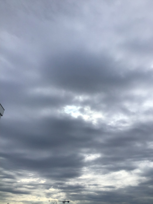 Photo de profil de cheval_libre