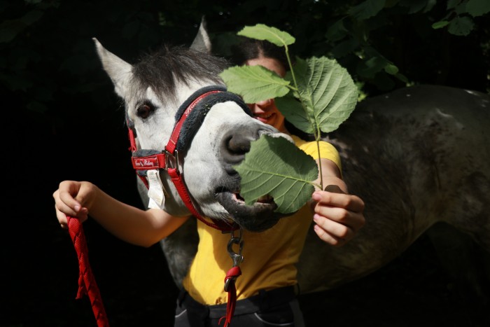Photo de profil de chevaltittude