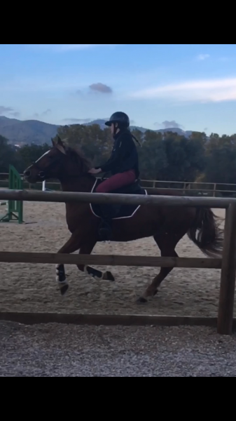 Photo de profil de chiara_estl