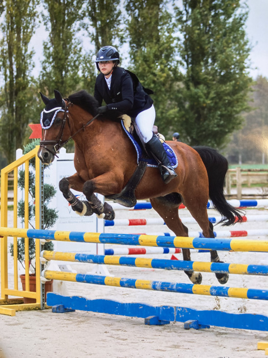 Photo de profil de chiara_thiry