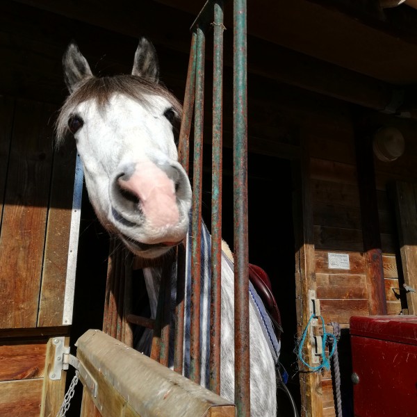 Photo de profil de chiara_vif