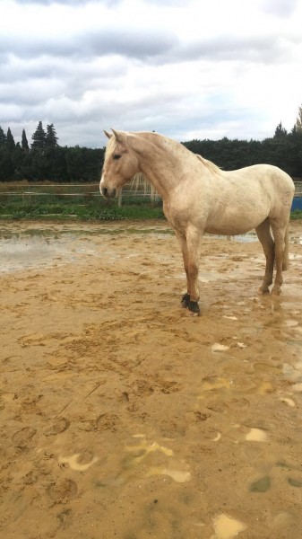 Photo de profil de chico84