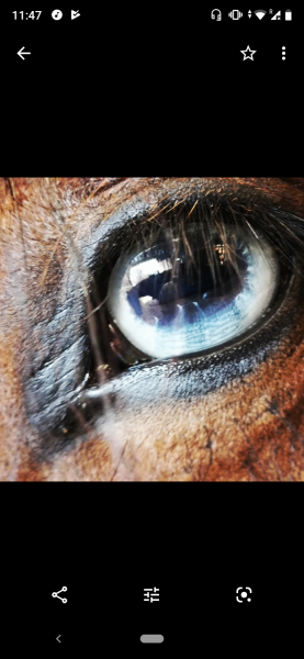 Photo de profil de chloe0344