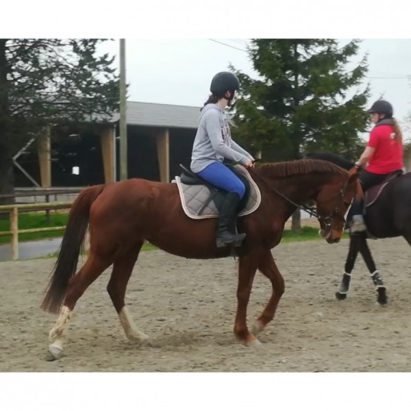 Photo de profil de chloe3445