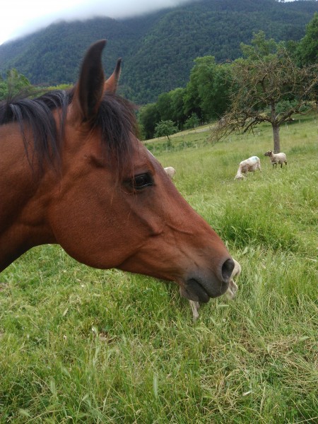 Photo de profil de chloe...38